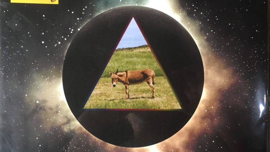 Gov’t Mule – Dark Side Of The Mule
